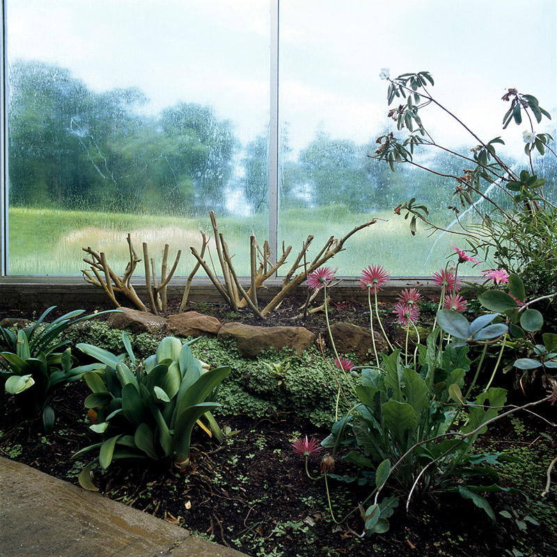 In a Glass Case